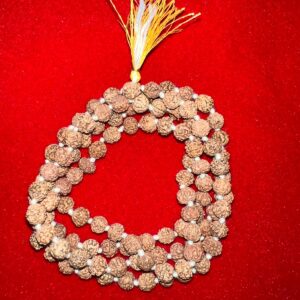 Rudraksh Mala 8mm