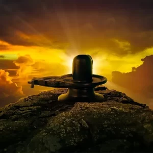 30 Dagen pooja pakket (9 grah)